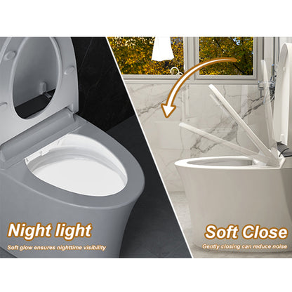 Modern Smart Toilet with Bidet Built in, Elongated Heated Toilet Seat with Tank, Instant Warm Water&Air Dryer, Detachable Nozzle, Foot Sensor Open/Close Lid, Auto Flushing (Standard)