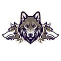 Timberwolves Store